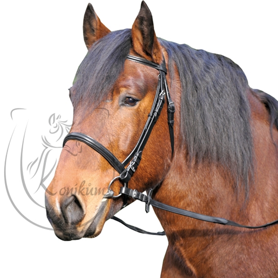 Picture of Briglia STAR "Kaltblut" per cavallo tipo TPR