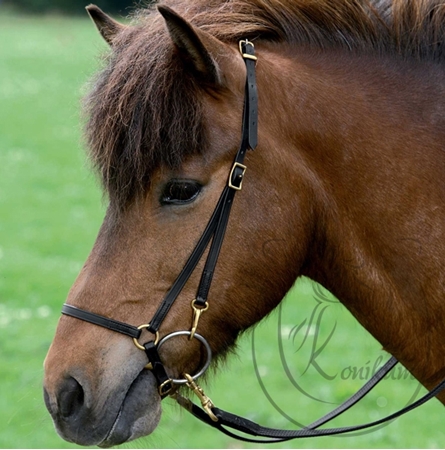 Immagine per la categoria Briglie per Pony